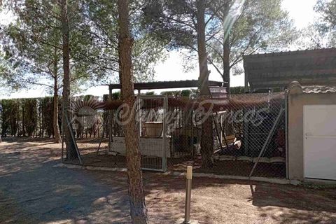 Landejendom i Yecla, Murcia, Yecla - € 480.000 | Ref: SF0501 - foto 30